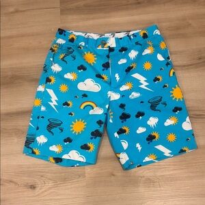 Vibrant Weather-Themed Men's Shorts